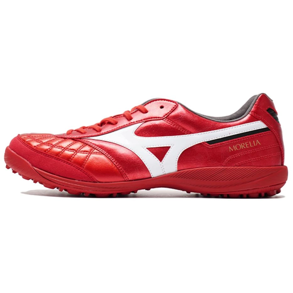 Mizuno SALA TF