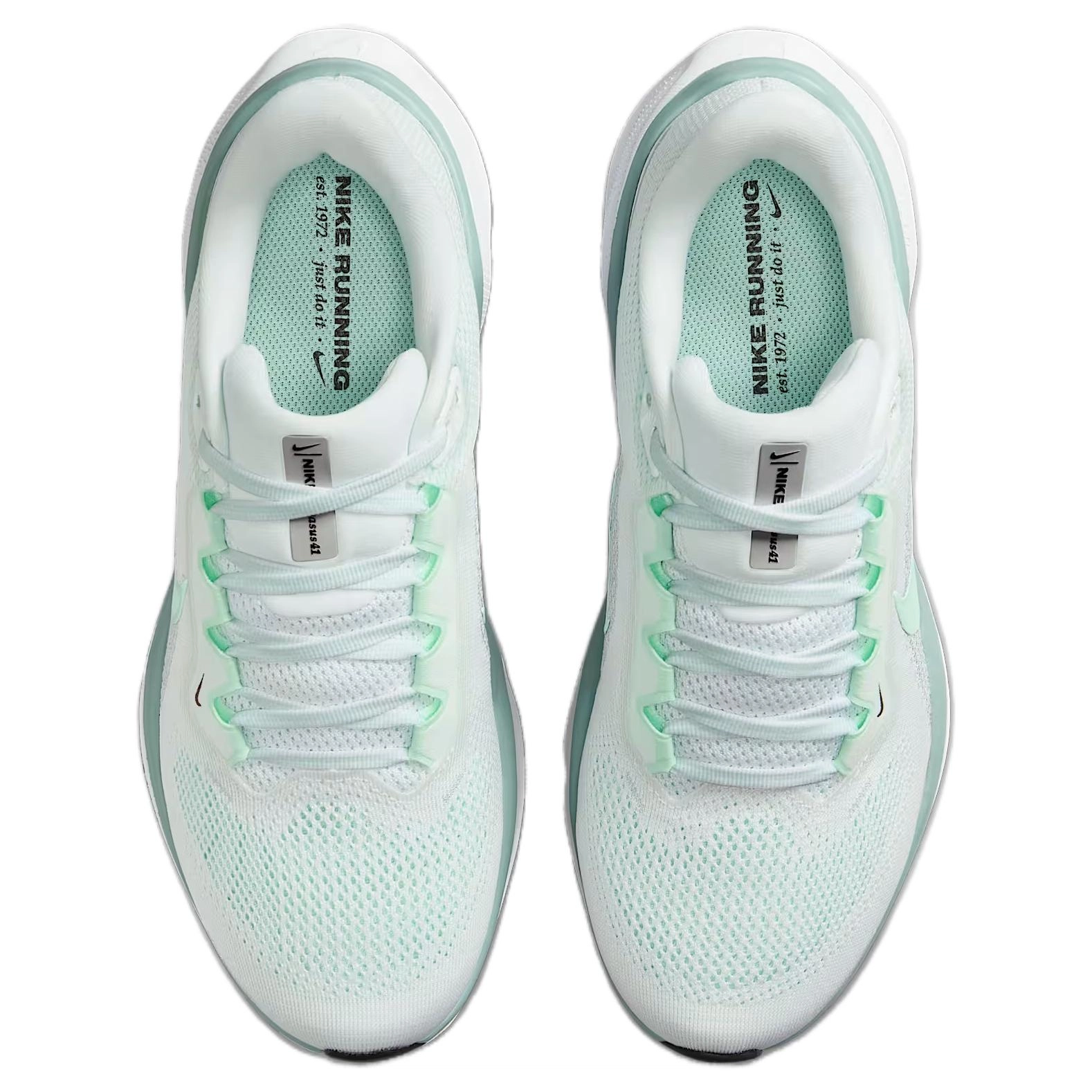 Nike Pegasus 41