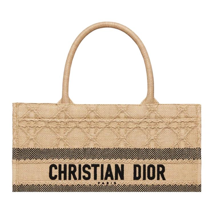 DIOR BookTote Tote
