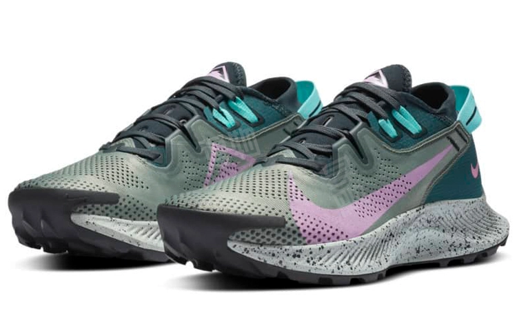 Nike Pegasus Trail 2