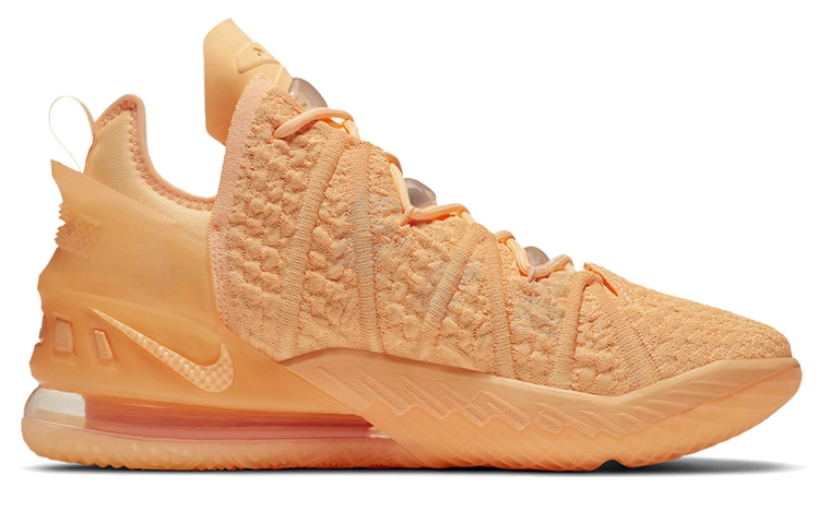 Nike Lebron 18