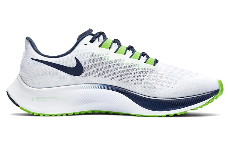 Nike Pegasus 37 "Seattle Seahawks"