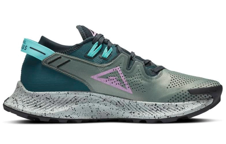 Nike Pegasus Trail 2