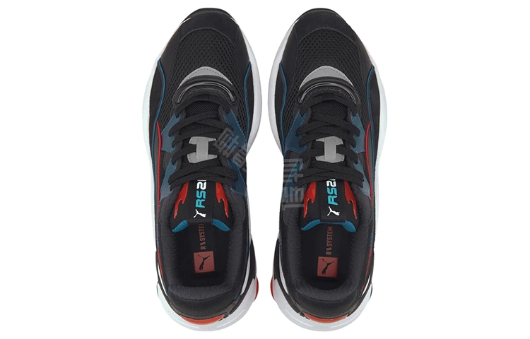 PUMA RS-2K Internet Exploring
