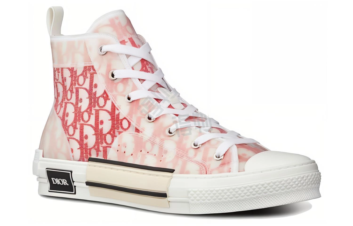 DIOR B23