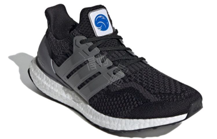 NASA x adidas Ultraboost 5.0 DN