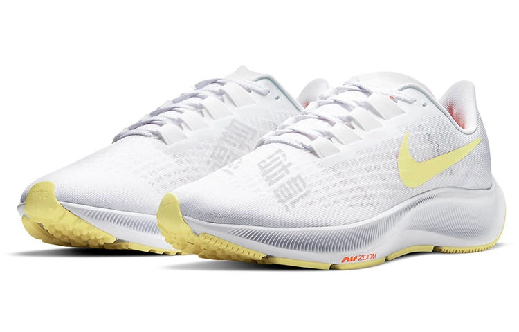 Nike Pegasus 37