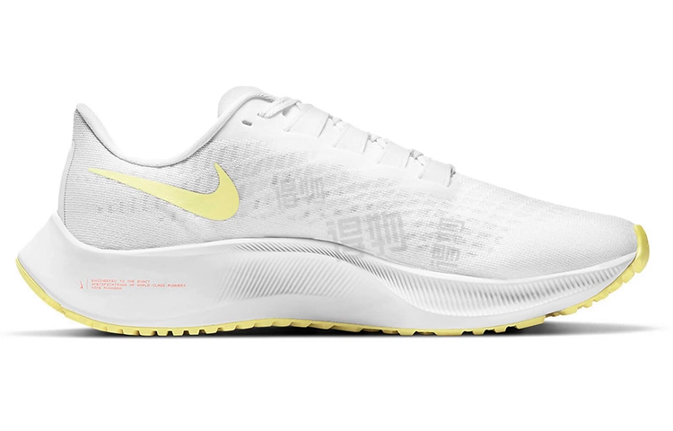 Nike Pegasus 37
