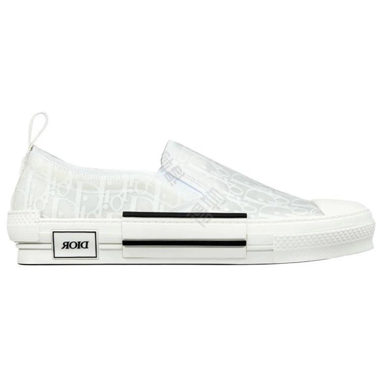 DIOR B23