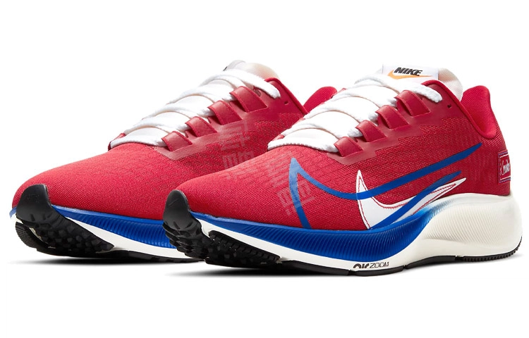 Nike Pegasus 37