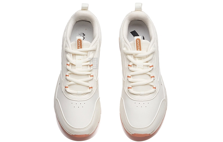Anta