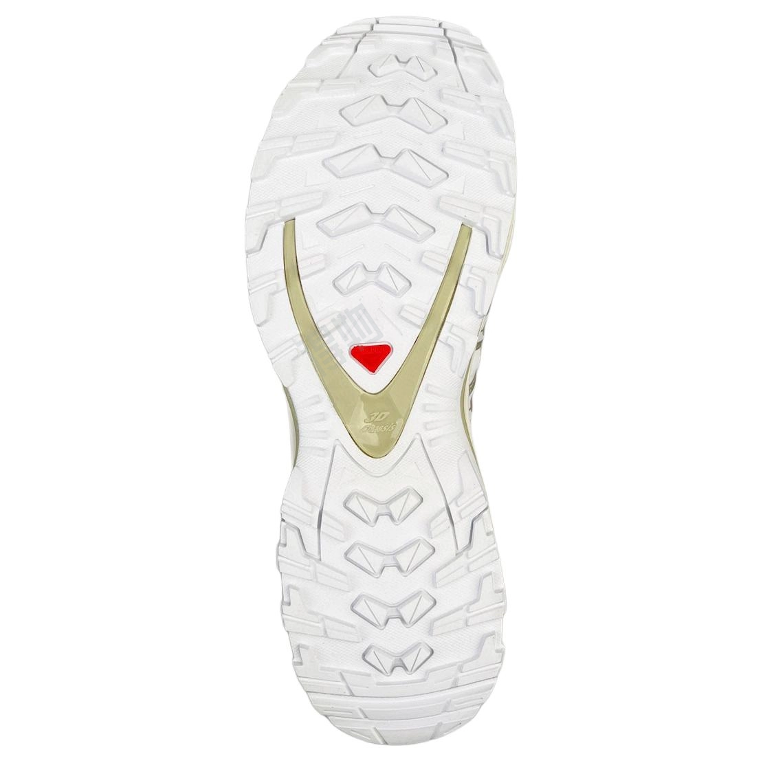 SALOMON XA Pro 3D ADV