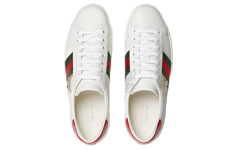 GUCCI ACE