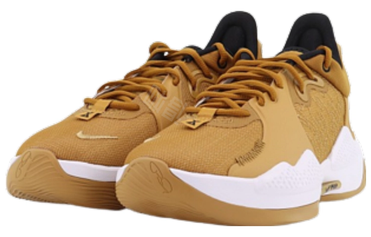 Nike PG 5