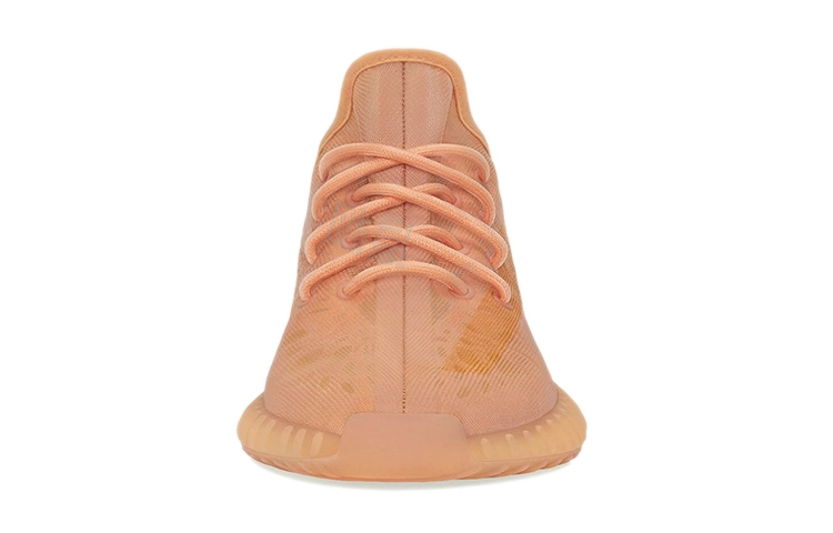 adidas originals Yeezy Boost 350 V2 "Mono Clay"