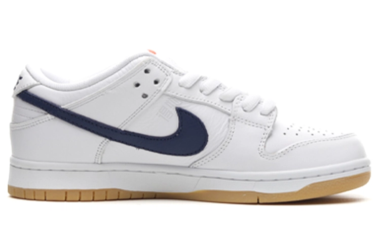 Nike Dunk SB Pro