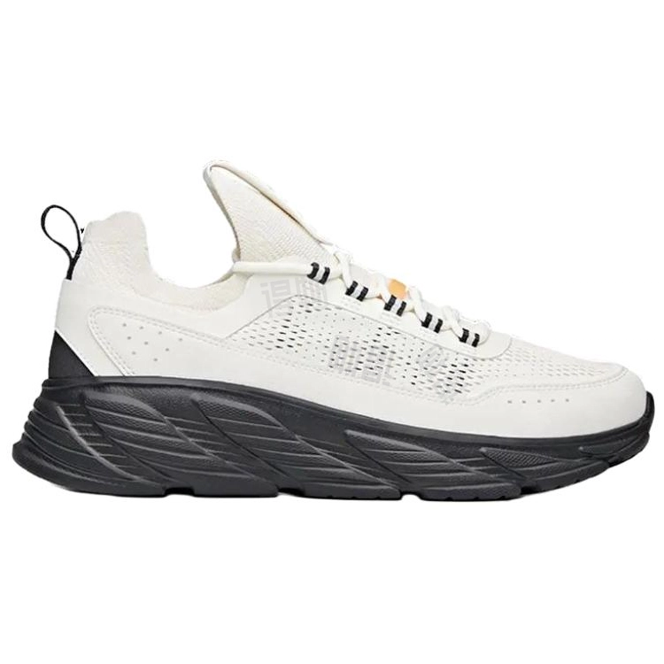 Anta 2