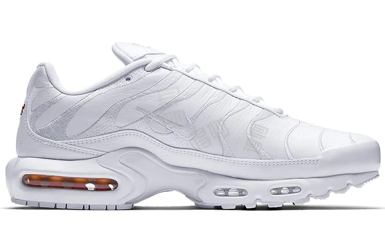 Nike Air Max Plus