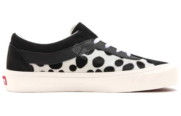 Vans Bold NI