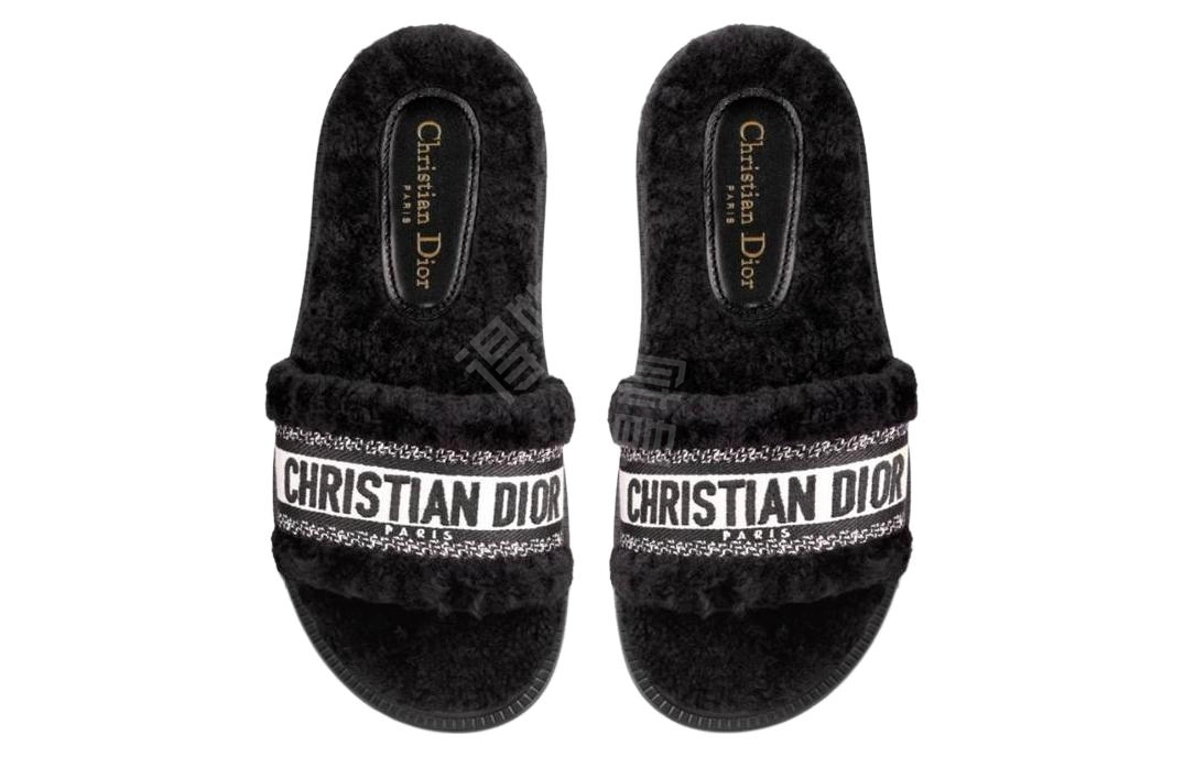 DIOR Dway