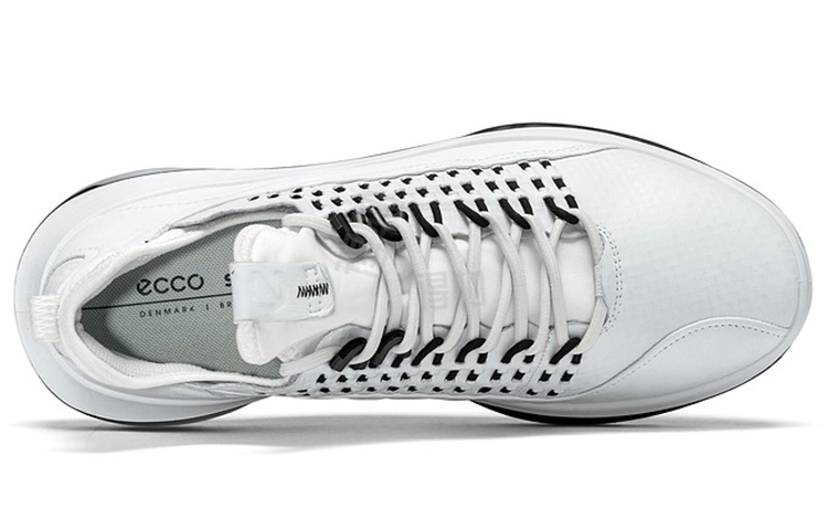 ecco 360