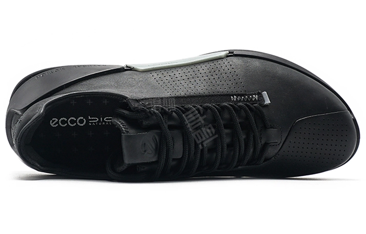 ecco 2.0