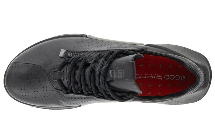 ecco Biom 2.0