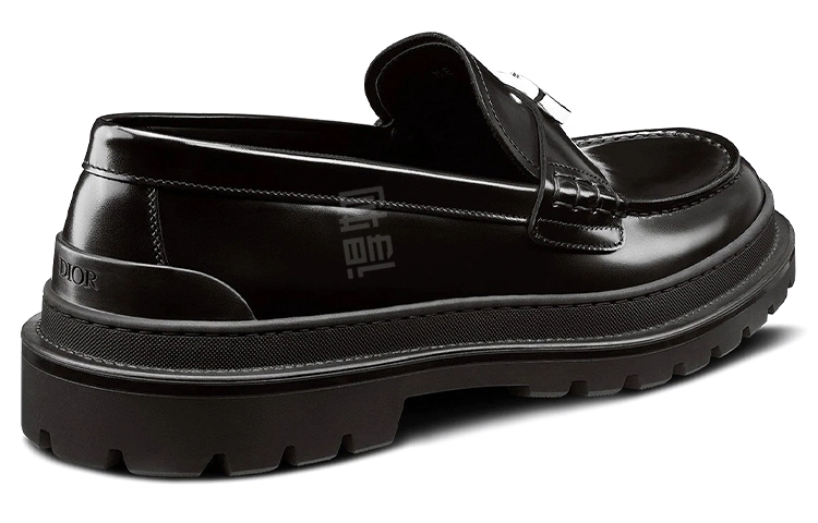 DIOR Dior Explorer