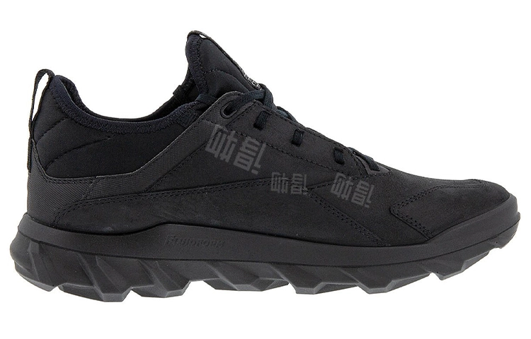 ecco Mx