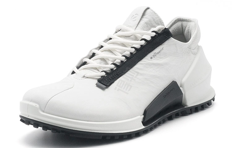 ecco 2.0
