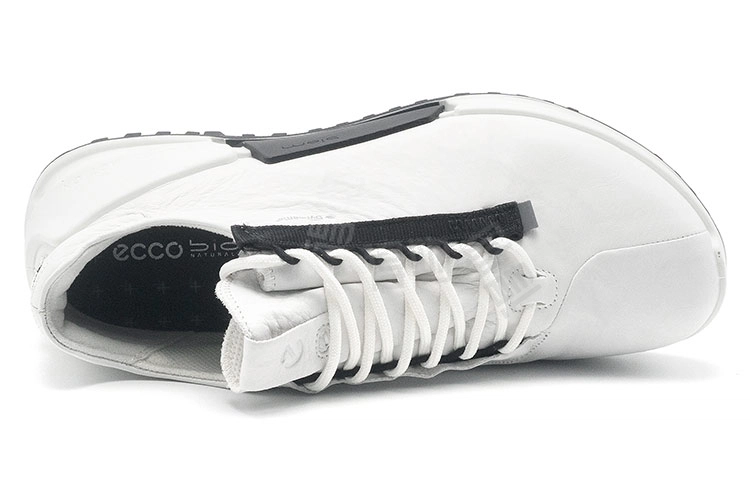 ecco 2.0