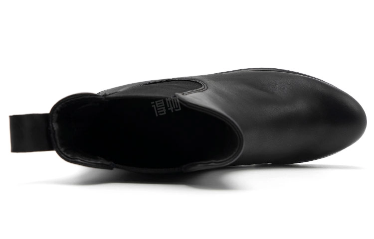 ecco Modtray