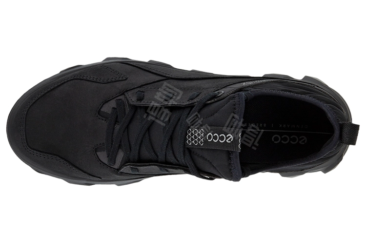 ecco Mx