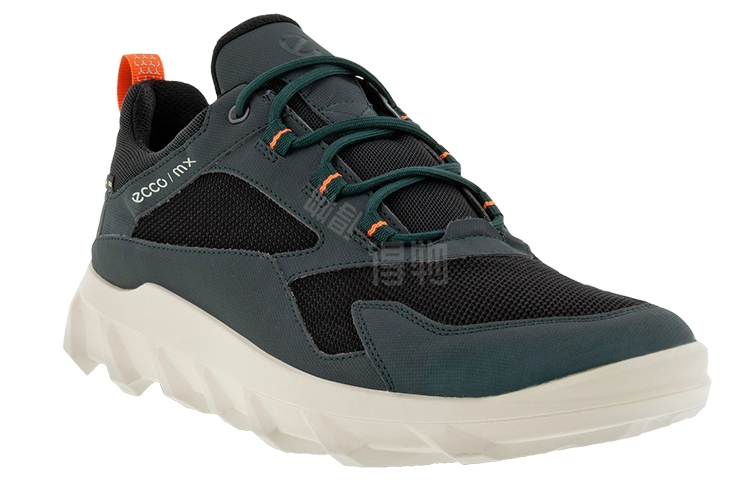 ecco Mx