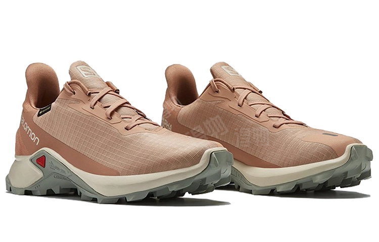 SALOMON Alphacross 3 Gtx