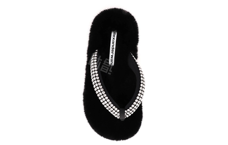 alexander wang
