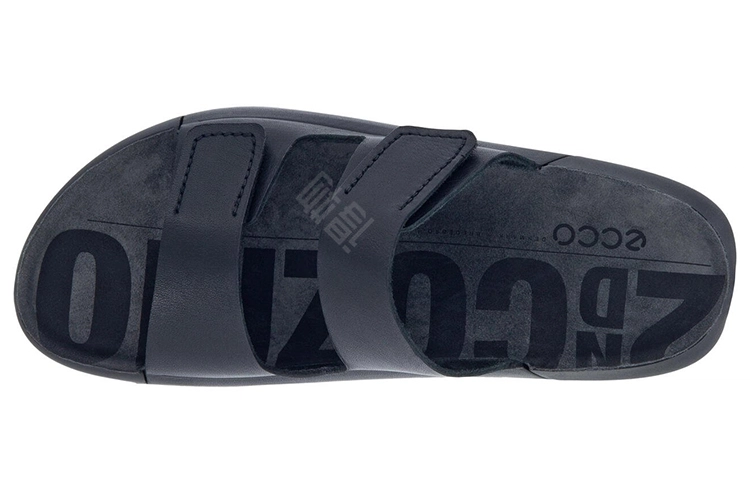 ecco Cozmo
