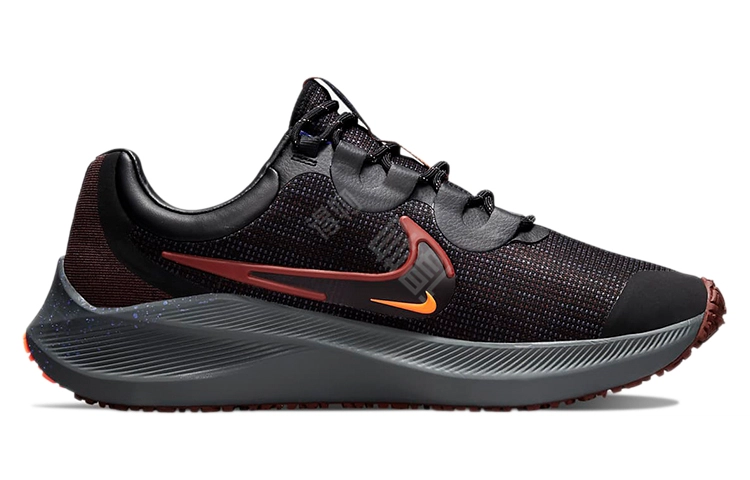 Nike Zoom Winflo 8 shield