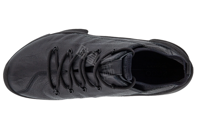 ecco Biom C Trail