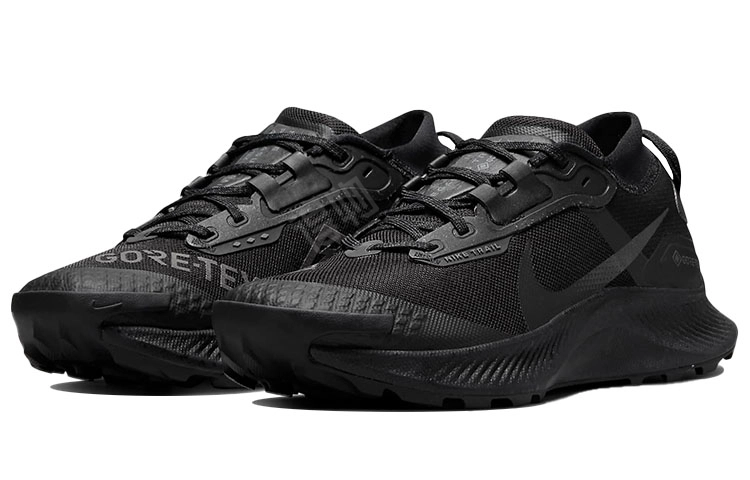Nike Pegasus Trail 3 GTX