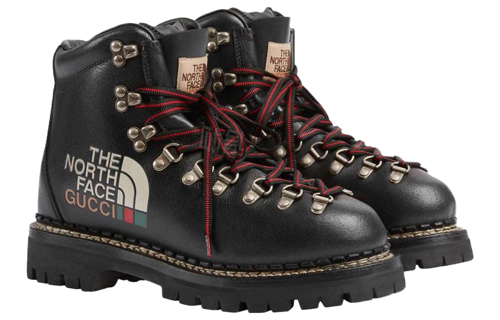 THE NORTH FACE x GUCCI