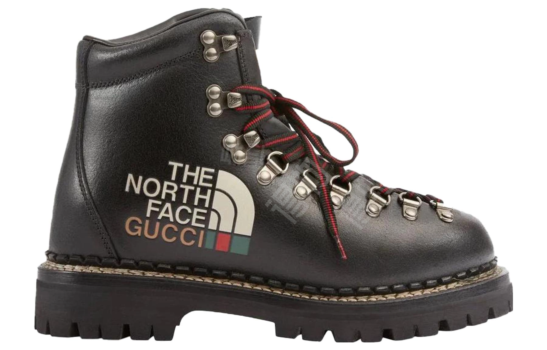 THE NORTH FACE x GUCCI