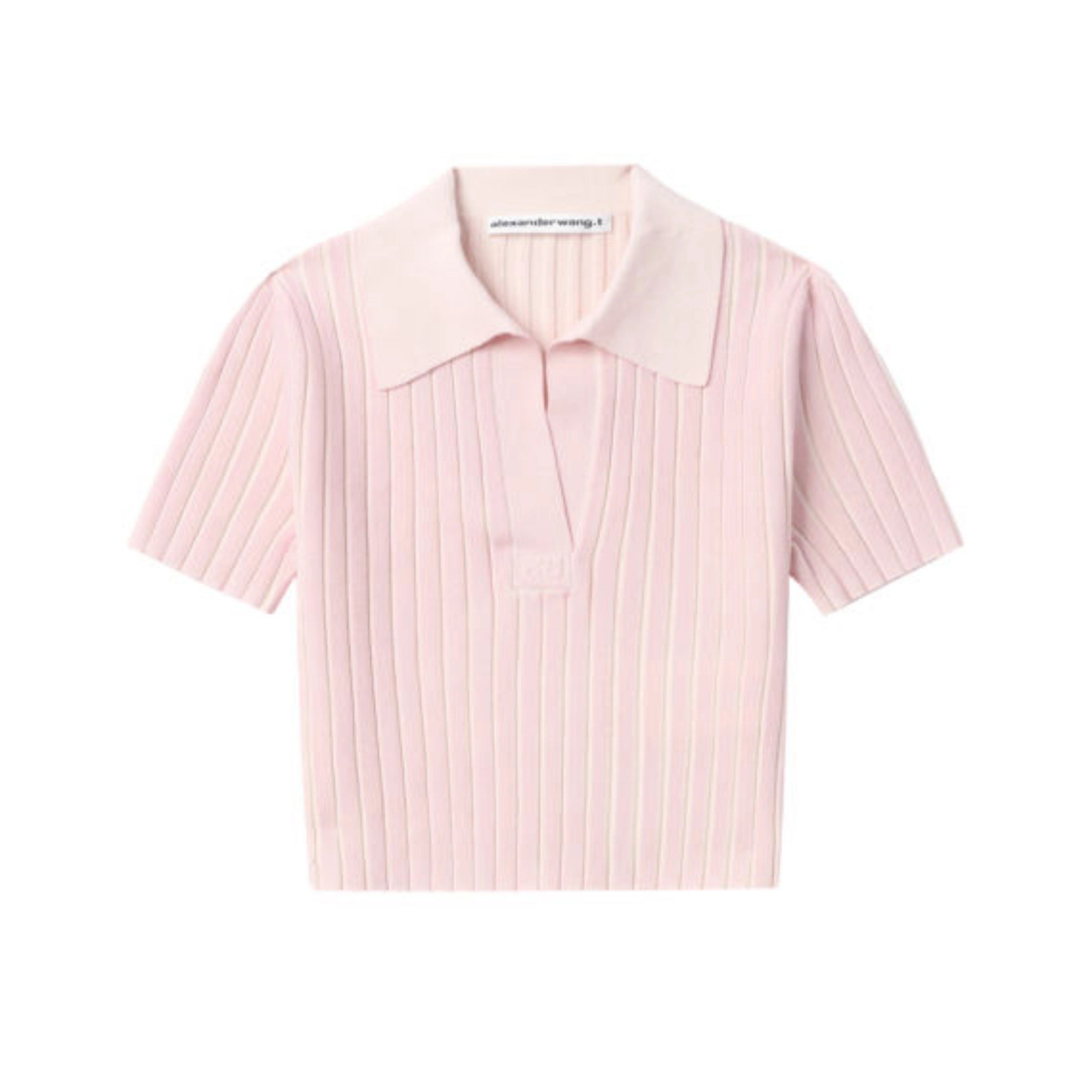 alexander wang T