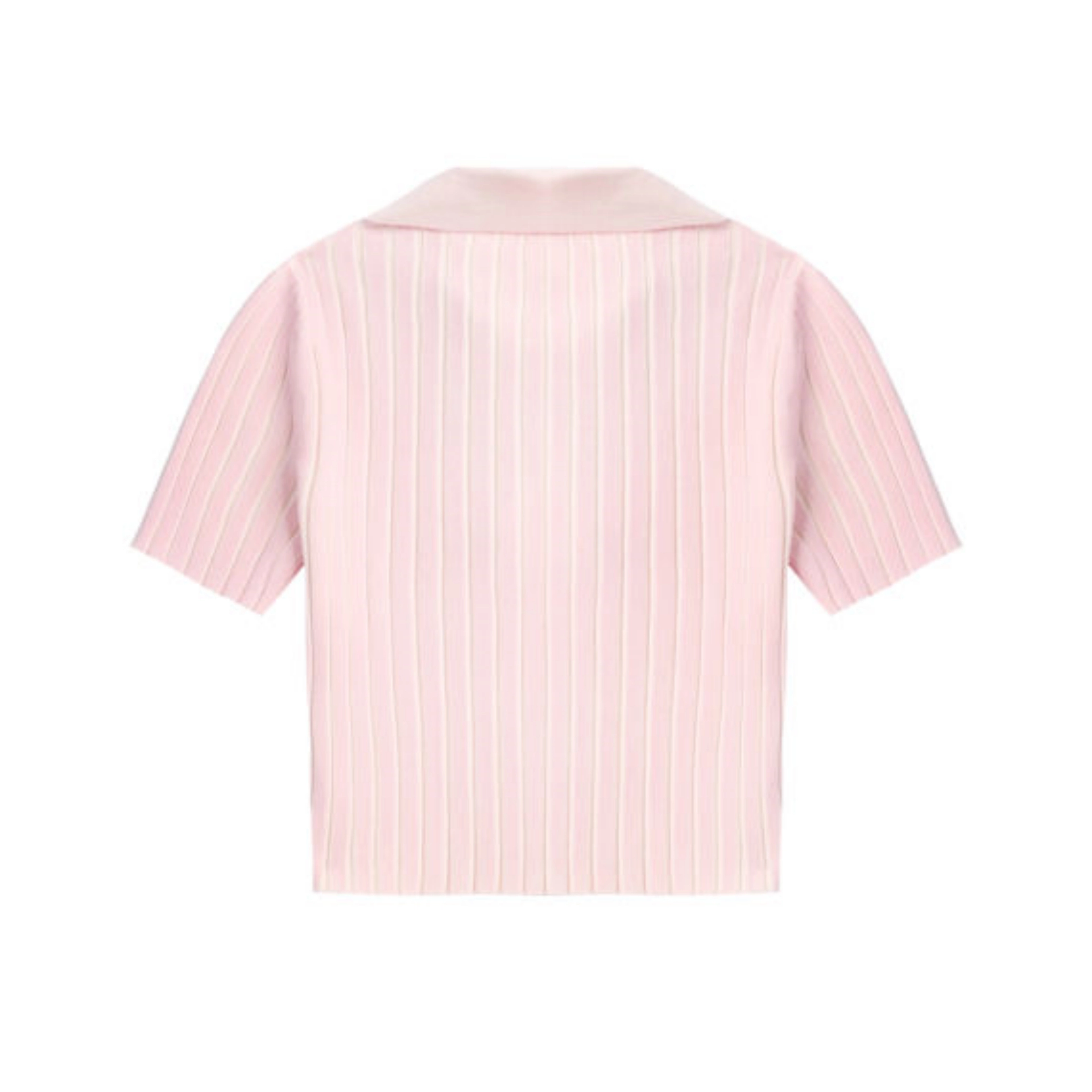 alexander wang T