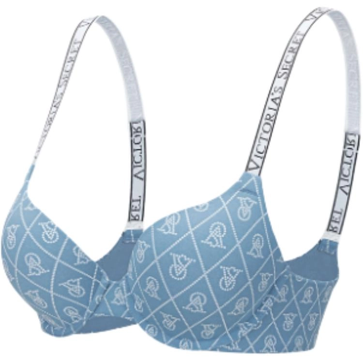 VICTORIA'S SECRET Logo