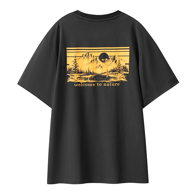 PELLIOT T