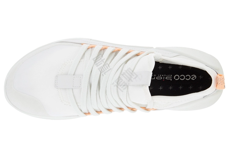 ecco Biom 2.0