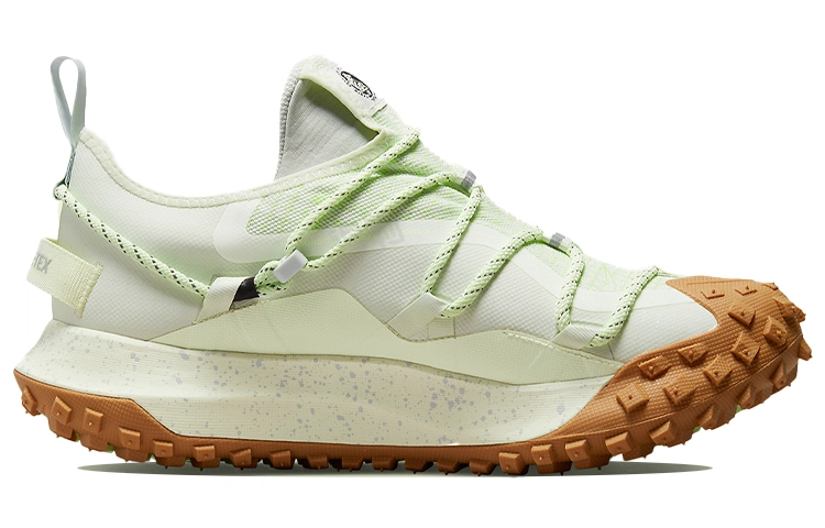 Nike ACG Mountain Fly Low GTX SE