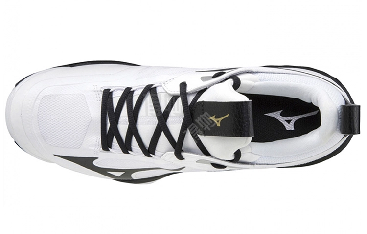 Mizuno Wave Momentum 2