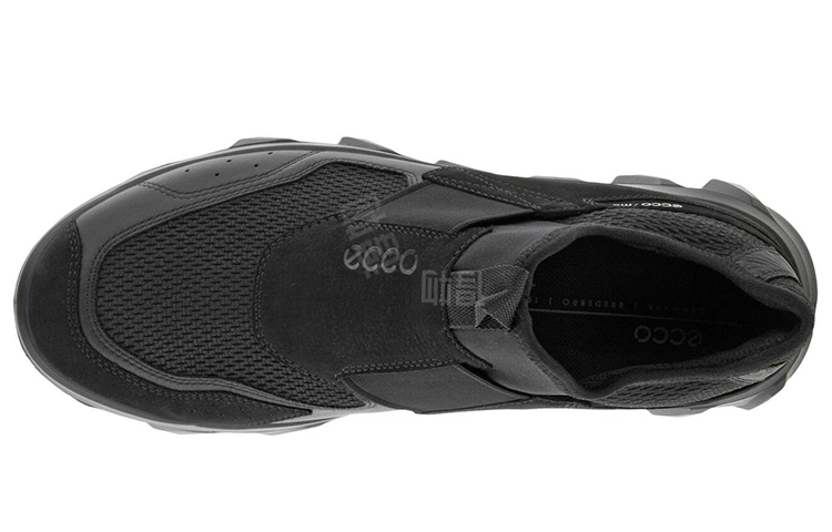 ecco Mx